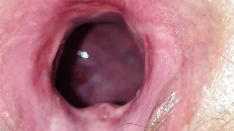See inside in my slut wife during covid 19