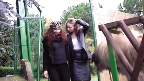 Anal Situation
