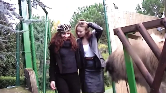 Anal Situation