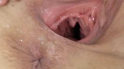 Dieter Casting Brunette Sucking Cock and Wild Bed Fuck