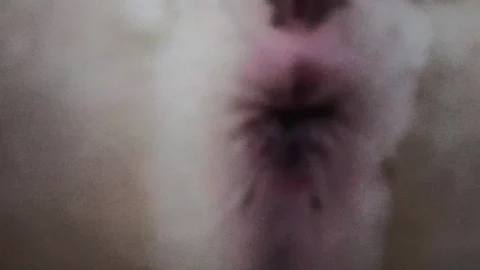 Hot Wife