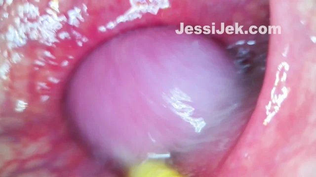 Plumber’s Endoscope Stuk in My Ass Showed Hot Anal Creampie From Inside