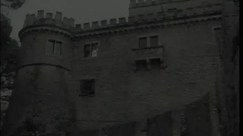 Anal Orgy Adventure, Part 1
