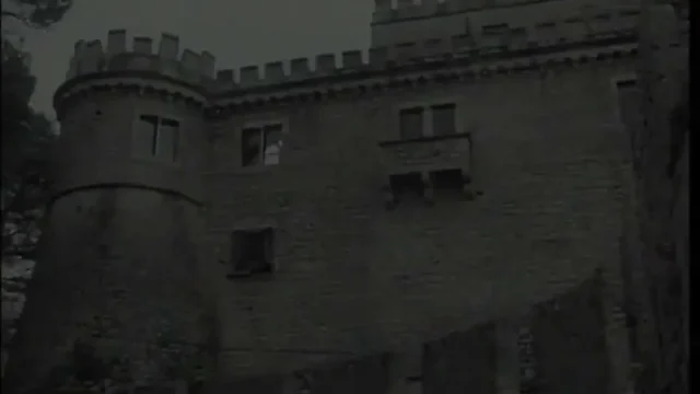 Anal Orgy Adventure, Part 1